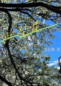 西兰花鳕鱼胡萝卜能一起吃吗