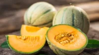 5 Manfaat Luar Biasa dari Buah Melon bagi Kesehatan 5 Manfaat Luar Biasa dari Buah Melon bagi Kesehatan