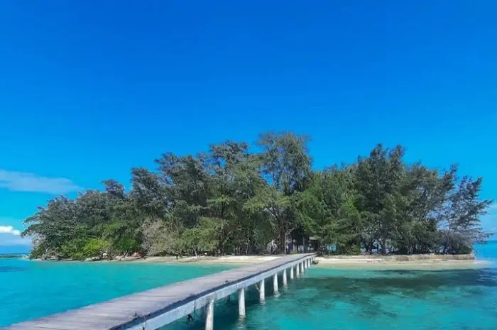 Daya Tarik Wisata Pulau Semak Daun Daya Tarik Wisata Pulau Semak Daun