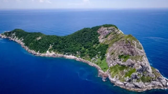 Misteri dan Keindahan Tersembunyi di Pulau Snake Island