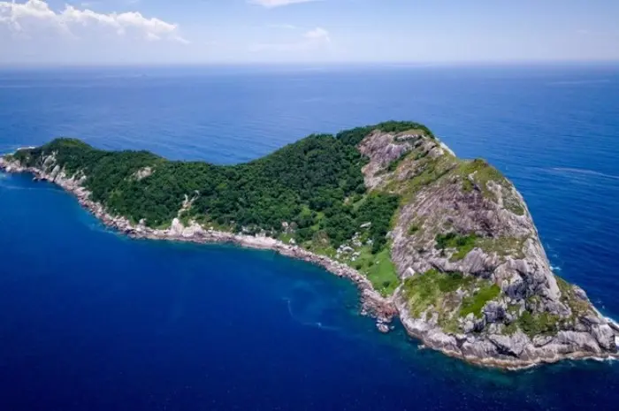 Misteri dan Keindahan Tersembunyi di Pulau Snake Island Misteri dan Keindahan Tersembunyi di Pulau Snake Island
