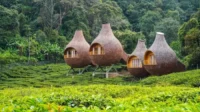 Destinasi Wisata Terbaik di Bogor untuk Liburan Hemat dan Seru Destinasi Wisata Terbaik di Bogor untuk Liburan Hemat dan Seru