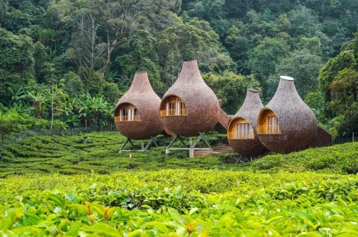 Destinasi Wisata Terbaik di Bogor untuk Liburan Hemat dan Seru Destinasi Wisata Terbaik di Bogor untuk Liburan Hemat dan Seru