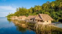Penginapan Terbaik di Raja Ampat untuk Liburan Santai dengan Pemandangan Menakjubkan Penginapan Terbaik di Raja Ampat untuk Liburan Santai dengan Pemandangan Menakjubkan