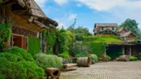 Destinasi Wisata di Lembang Bandung yang Wajib Anda Kunjungi untuk Liburan Destinasi Wisata di Lembang Bandung yang Wajib Anda Kunjungi untuk Liburan